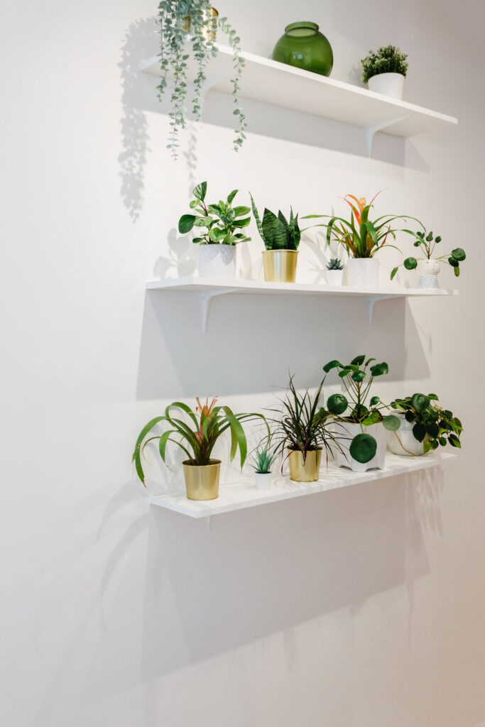 Three white shelves hold various potted plants and greenery | Business branding photography by Sara Coffin for The Vision Studio 
