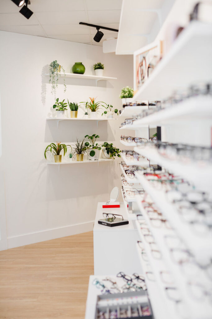 Three white shelves hold various potted plants and greenery next to shelves holding pairs of designer glasses frames | Business branding photography by Sara Coffin for The Vision Studio 